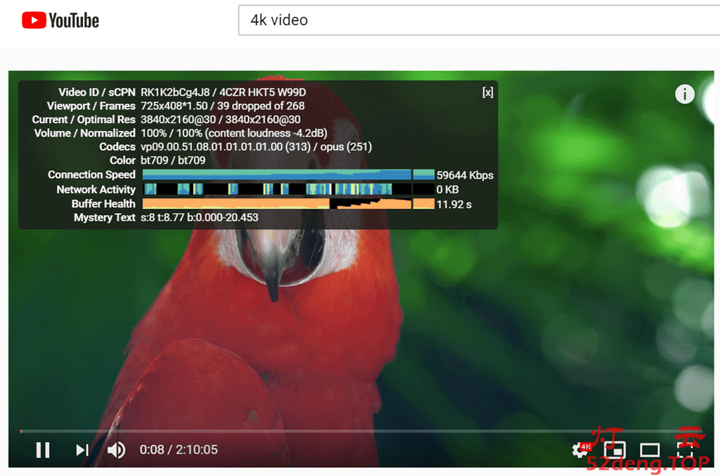 速鹰666看YouTube油管4K视频测速